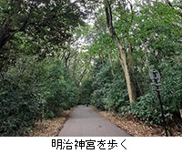 写真:明治神宮を歩く