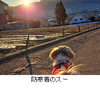 写真:防寒着のスー