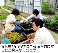 写真：東筑摩郡山形村にて種苗育成に勤しむご婦人から話を聞く