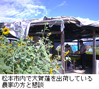 写真：松本市内で大賀蓮を出荷している農家の方と懇談