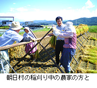写真：朝日村の稲刈り中の農家の方と