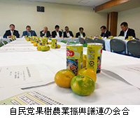 写真：自民党果樹農業振興議連の会合