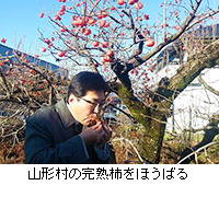 写真：山形村の完熟柿をほうばる