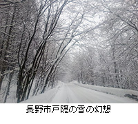 写真：長野市戸隠の雪の幻想