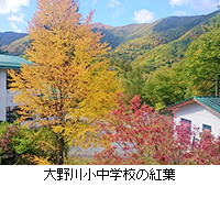 写真：大野川小中学校の紅葉
