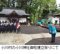 写真：小川村の小川神社御柱建立祭りにて
