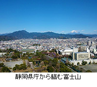 写真：静岡県庁から臨む富士山