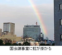 写真：国会議事堂に虹が掛かる
