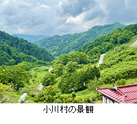 写真：小川村の景観