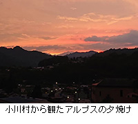 写真：小川村から観たアルプスの夕焼け