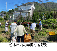 写真：松本市内の芋掘りを慰労