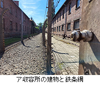 写真：ア収容所の建物と鉄条網