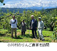 写真：小川村のりんご農家を訪問