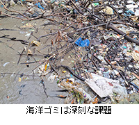 写真：海洋ゴミは深刻な課題