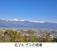 ʐ^FkAvX̐i