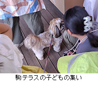 ʐ^FeX̎qǂ̏W
