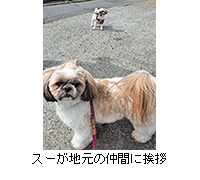 ʐ^FX[n̒ԂɈA