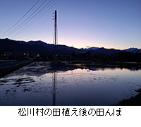 ʐ^F쑺̓cA̓c