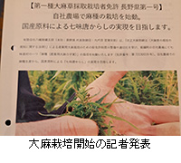 ʐ^F喃͔|Jn̋LҔ\