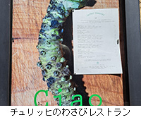 ʐ^F`bq̂킳уXg