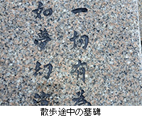 ʐ^FUr̕
