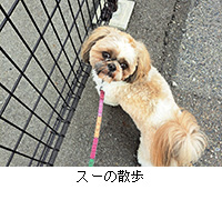 ʐ^FX[̎U