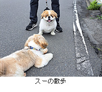 ʐ^FX[̎U