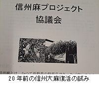 ʐ^F20NO̐MB喃̎