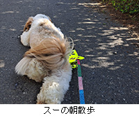 ʐ^FX[̒U