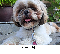 ʐ^FX[̎U