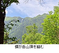 ʐ^FxRՂ