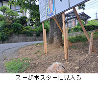 ʐ^FX[|X^[Ɍ