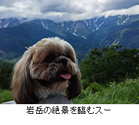 ʐ^Fx̐iՂރX[