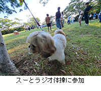 ʐ^FX[ƃWȊɎQ