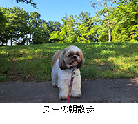 ʐ^FX[̒U