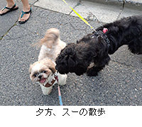 ʐ^F[AX[̎U