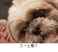 ʐ^FX[Ɗ
