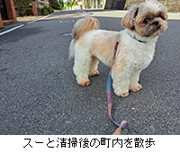 ʐ^FX[Ɛ|̒U