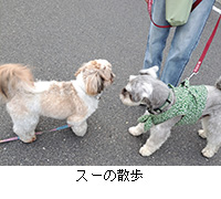 ʐ^FX[̎U
