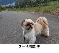 ʐ^FX[̒U