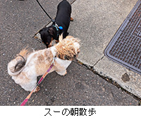 ʐ^FX[̒U