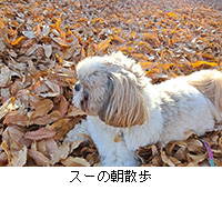 �ʐ^�F�X�[�̒��U��