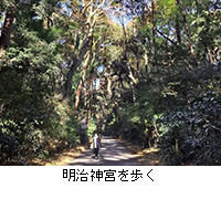 �ʐ^�F�����_�{�����