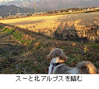 写真:スーと北アルプスを臨む