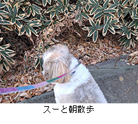 �ʐ^�F�X�[�ƒ��U��