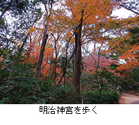 �ʐ^�F�����_�{�����