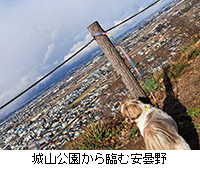 �ʐ^�F��R��������Ղވ��ܖ�