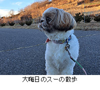 �ʐ^�F��A���̃X�[�̎U��