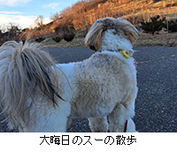 �ʐ^�F��A���̃X�[�̎U��