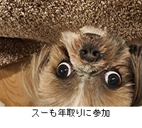 �ʐ^�F�X�[���N���ɎQ��